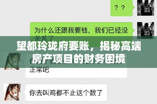 望都玲珑府要账，揭秘高端房产项目的财务困境