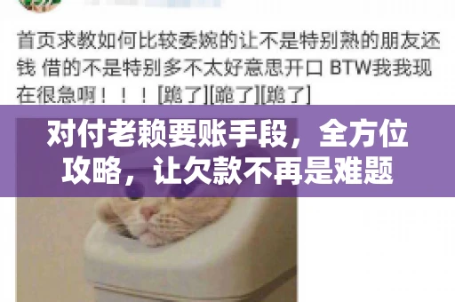 对付老赖要账手段，全方位攻略，让欠款不再是难题