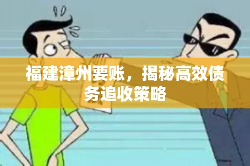福建漳州要账，揭秘高效债务追收策略