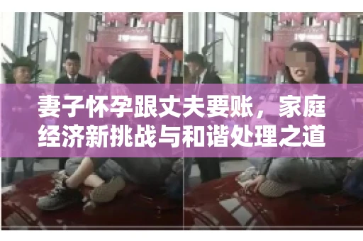 妻子怀孕跟丈夫要账，家庭经济新挑战与和谐处理之道