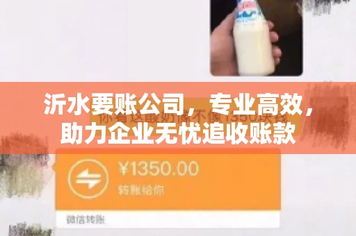 沂水要账公司，专业高效，助力企业无忧追收账款