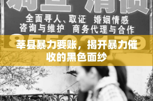 莘县暴力要账,揭开暴力催收的黑色面纱 莘县暴力要账,揭开暴力催收的黑色面纱