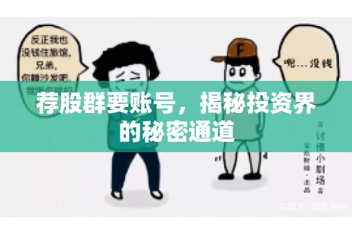 荐股群要账号，揭秘投资界的秘密通道