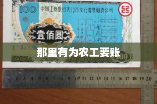 那里有为农工要账