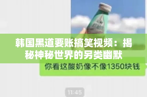 韩国黑道要账搞笑视频：揭秘神秘世界的另类幽默