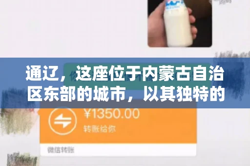 通辽，这座位于内蒙古自治区东部的城市，以其独特的地理位置和丰富的自然资源而闻名。然而，对于许多企业来说，通辽的另一个重要角色可能是其作为要账公司的聚集地。那么，通辽究竟有几家要账公司呢？今天，我们就来聊聊这个话题。
