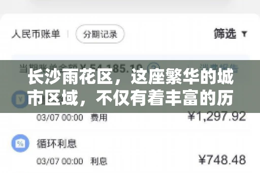 长沙雨花区，这座繁华的城市区域，不仅有着丰富的历史文化，还有着繁忙的金融活动。其中，催收公司作为金融行业的一个重要组成部分，在这里也有着不少的身影。那么，长沙雨花区都有哪些催收公司呢？今天，我们就来聊聊这个话题。